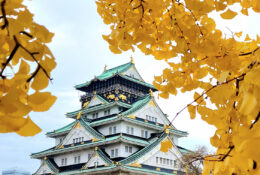 Japan_Autumn_2025 (20/47)